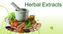Plant and Herbal Extracts