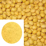 Soy bean extract