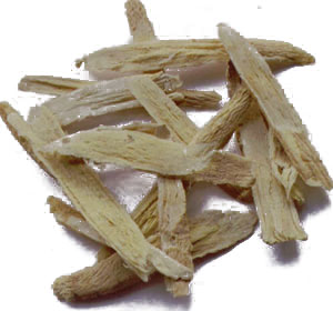 Astragalus P.E.