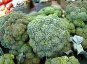 Broccoli P.E