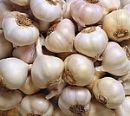 Garlic extract