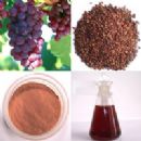 Grape seed extract