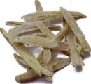 Astragalus P.E.