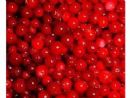 Lingonberry Red